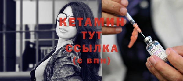прущие грибы Белокуриха