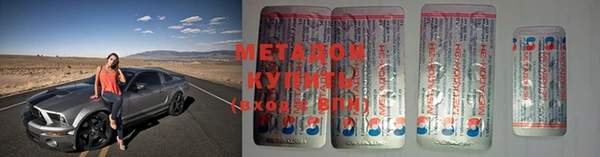 прущие грибы Белокуриха