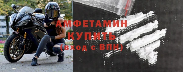 прущие грибы Белокуриха