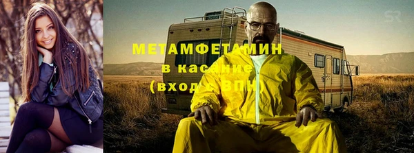 прущие грибы Белокуриха