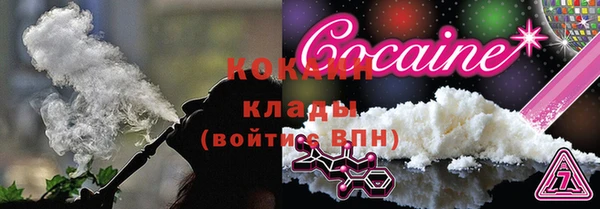 прущие грибы Белокуриха
