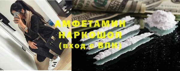 прущие грибы Белокуриха
